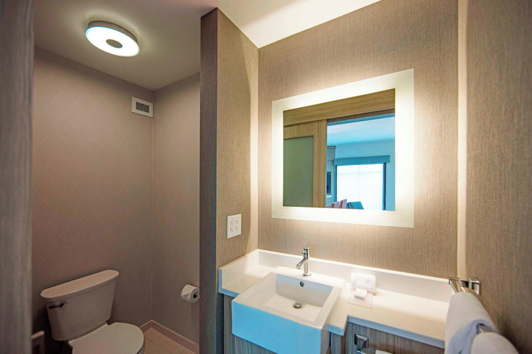 Bathroom 3, SpringHill Suites by Marriott Athens Downtown/University Area, Clarke