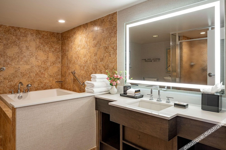 Bathroom 4, Hampton Inn Kissimmee North, Osceola