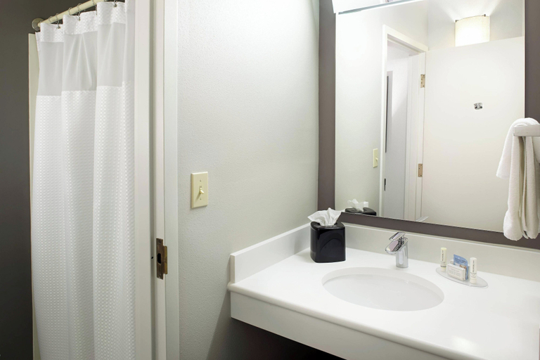 Bathroom 4, Courtyard by Marriott Detroit Brighton, Livingston