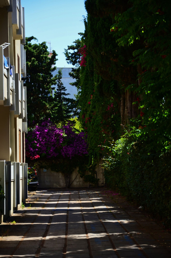 Exterior & Views 2, Residenza Gli Eucalipti, Sassari