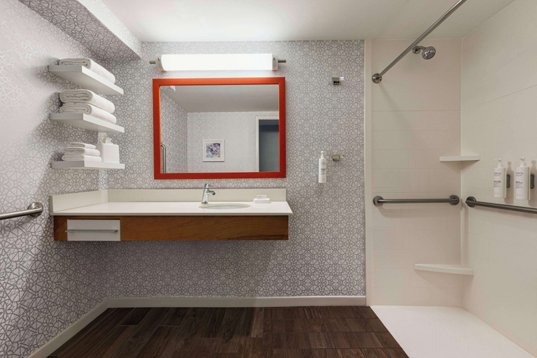 Bathroom 4, Hampton Inn Charlottesville, Charlottesville