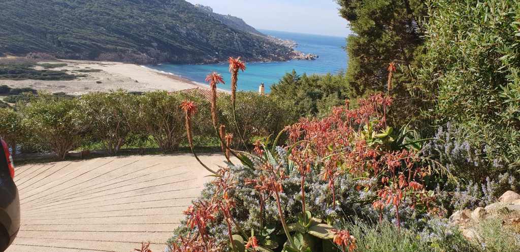 Others 2, Les jardins de Tizzano, Corse-du-Sud