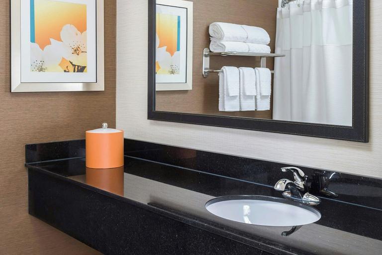 Bathroom 4, Fairfield Inn & Suites Holland, Ottawa