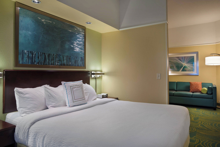 Bedroom 3, SpringHill Suites by Marriott St. Petersburg Clearwater, Pinellas