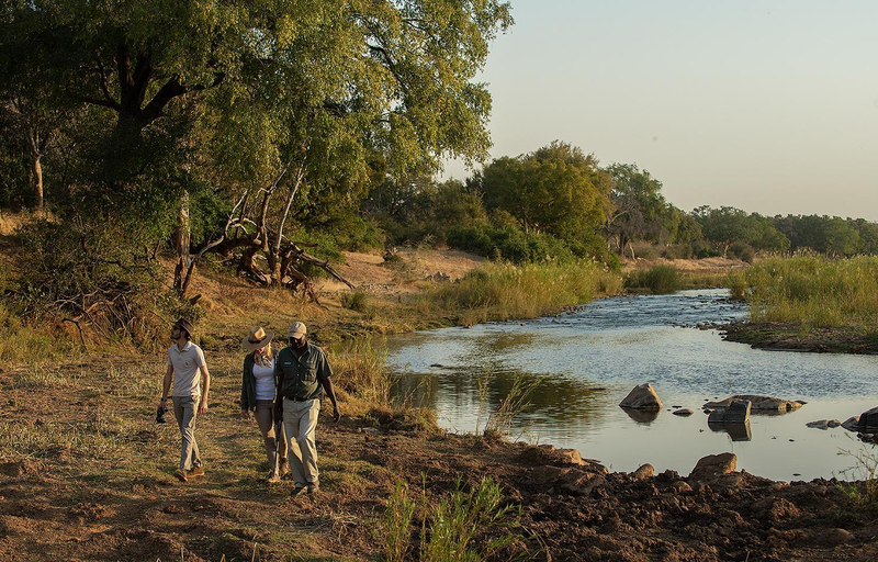 Attractions 5, Pondoro Game Lodge - All Inclusive, Mopani
