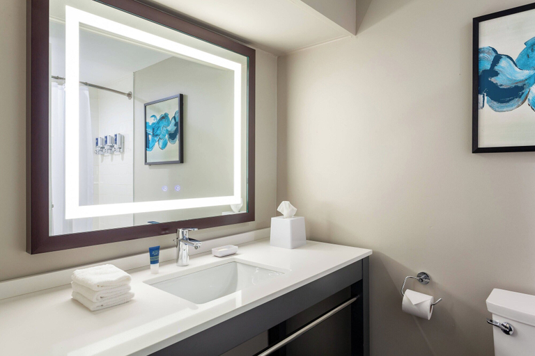 Bathroom 4, Four Points by Sheraton Orlando Convention Center, Orange