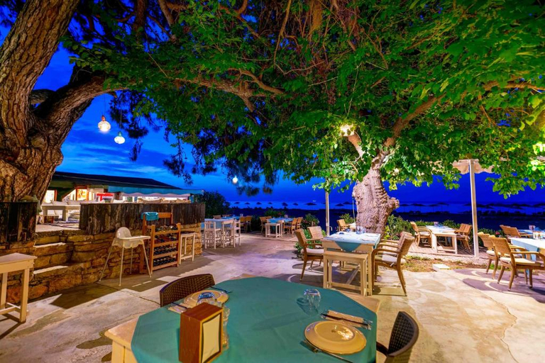 Food & Drinks, Etenna Beach Bungalow Hotel, Kemer