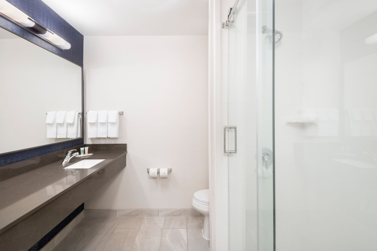 Bathroom 4, Fairfield Inn & Suites by Marriott Wilson, Wilson