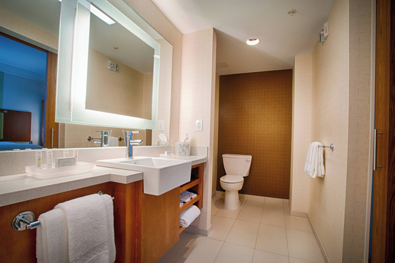 Bathroom 5, Springhill Suites Canton, Stark