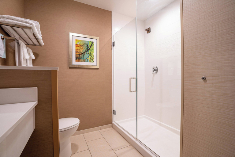 Bathroom 5, Fairfield Inn & Suites by Marriott Somerset, Somerset