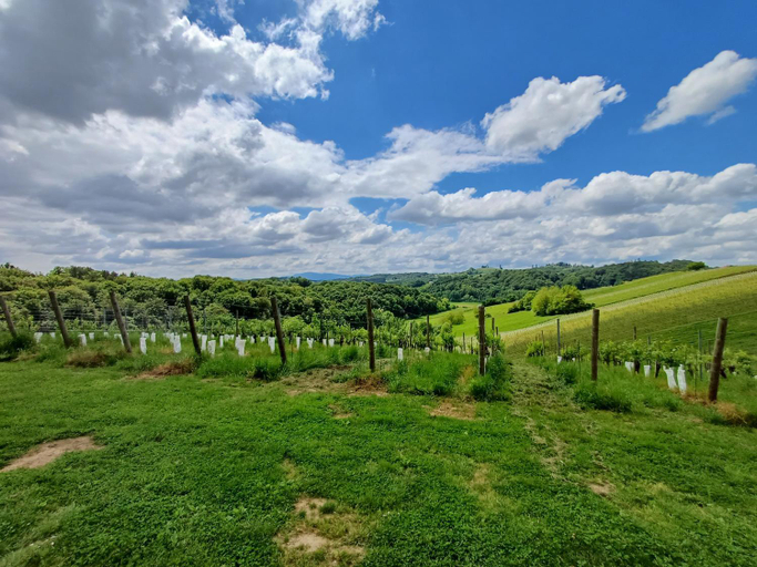Others 3, Herga Wine Estate - Nest above wine cellar - rooms, Ormož