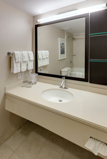 Bathroom 4, Niagara Fallsview Hotel, Niagara