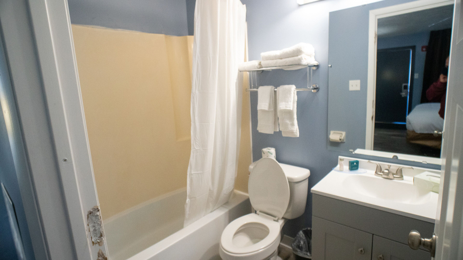 Bathroom 4, Ashley Motel, Hendricks