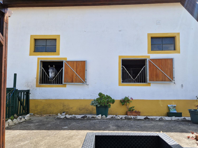 Others 5, Horse Riding Country House, Vila Franca de Xira