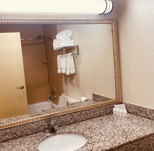 Bathroom 4, Wingate by Wyndham Marietta Conference Center, Washington