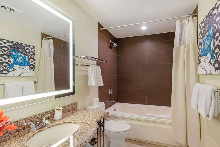 Bathroom 5, Best Western Plus Hawthorne Terrace Hotel, Cook