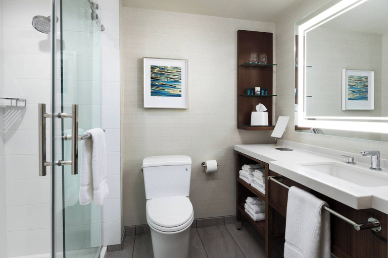 Bathroom 4, South Sioux City Marriott Riverfront, Dakota