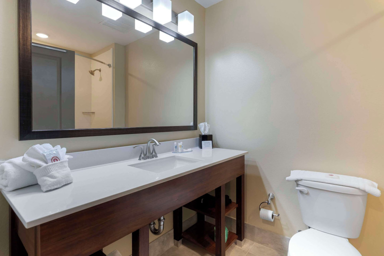 Bathroom 4, Comfort Inn & Suites East Ellijay, Gilmer