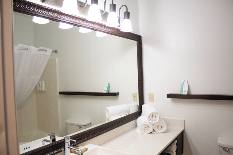 Bathroom 4, Country Inn & Suites by Radisson, Big Rapids, MI, Mecosta