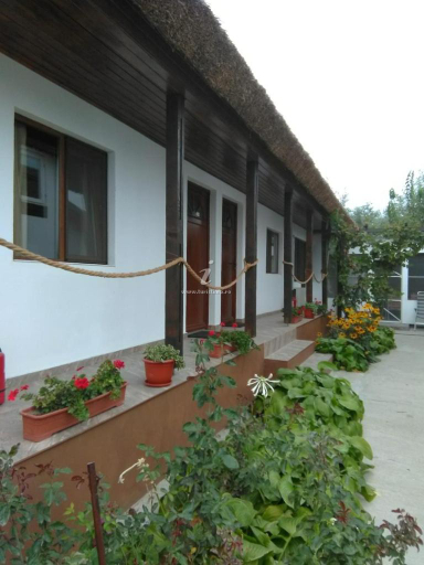 Others 2, Briza Marii, Sfantu Gheorghe