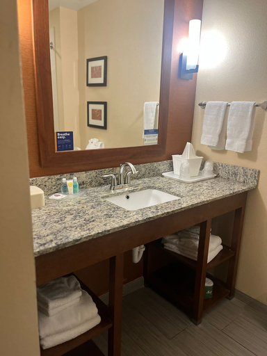 Bathroom 4, Comfort Suites Cotulla near I-35, La Salle