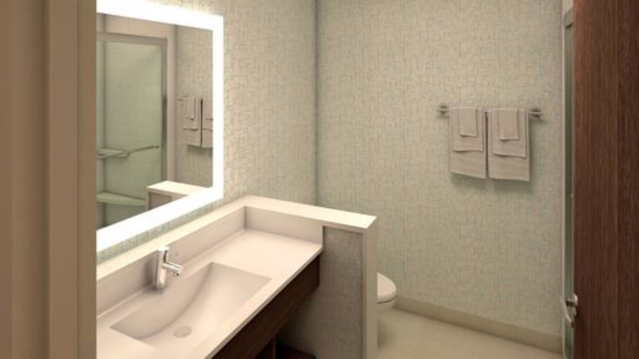 Bathroom 5, Holiday Inn Express & Suites TERRACE by IHG, Kitimat-Stikine