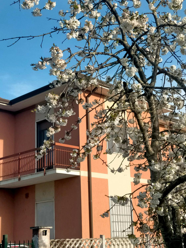 Suite Paradiso, La Spezia
