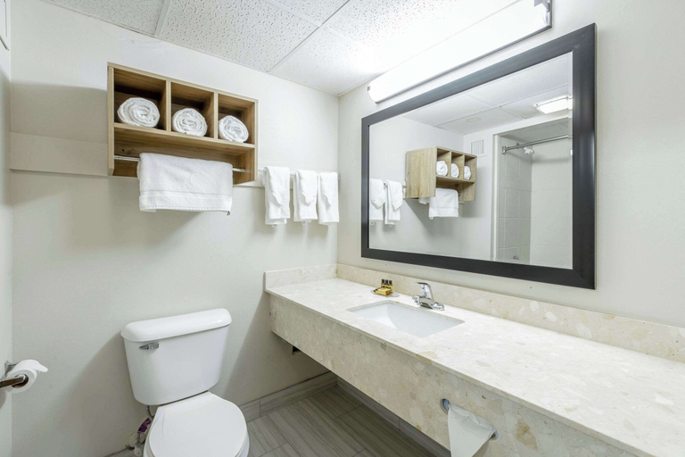 Bathroom 4, Comfort Inn & Suites Chattanooga-East Ridge, Hamilton