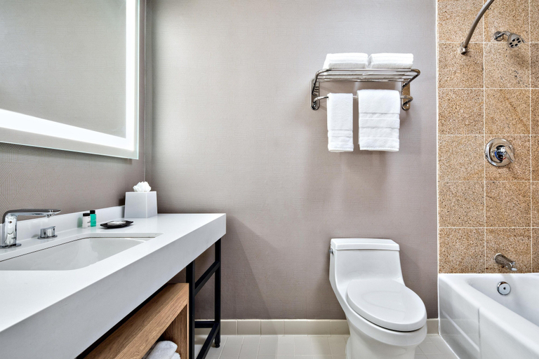 Bathroom 5, Sheraton Dallas Hotel, Dallas