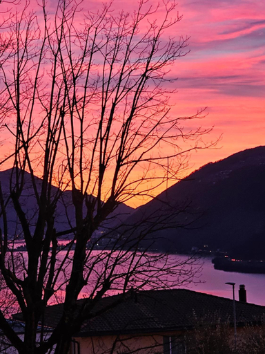 Others 3, Ristorante Camino, Lugano