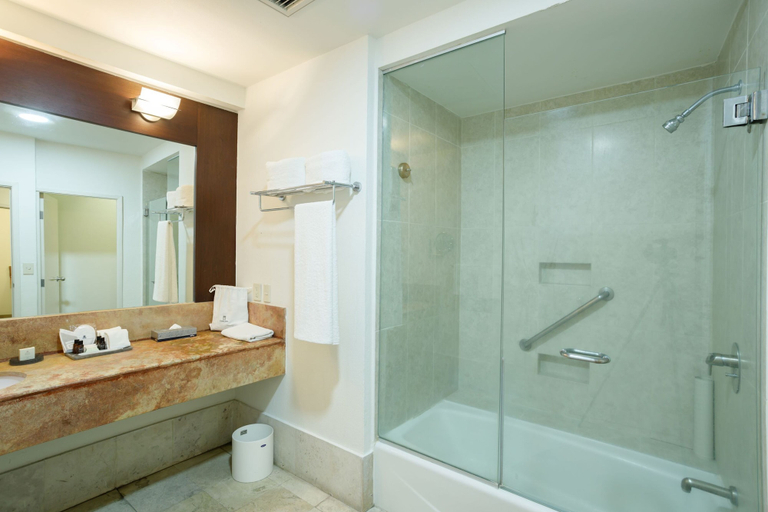 Bathroom 5, Camino Real Pachuca, San Agustín Tlaxiaca
