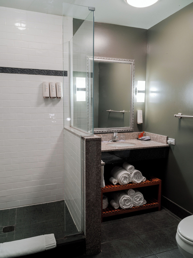 Bathroom 5, Lancaster Arts Hotel, Lancaster