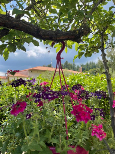 Others 5, Sun Sight - Deluxe Meridian Vista Suites, Central Macedonia