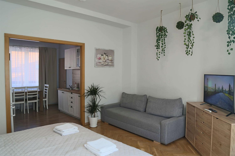 Others 3, Design Studio Apartments Charles Square, Old Town, Praha 5