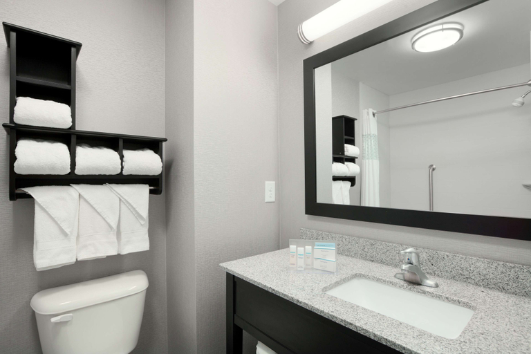 Bathroom 4, Hampton Inn & Suites Roanoke Airport, Roanoke City