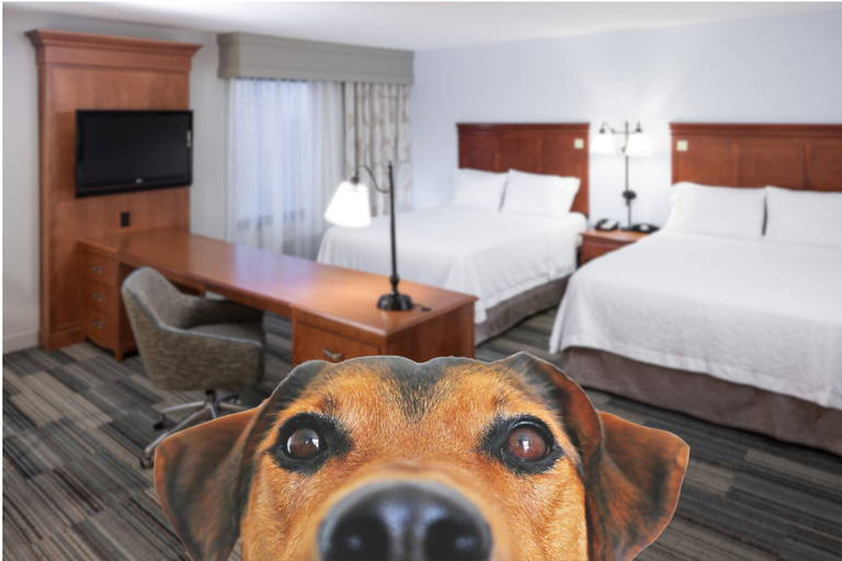 Bedroom 4, Hampton Inn & Suites Cedar Rapids - North, Linn