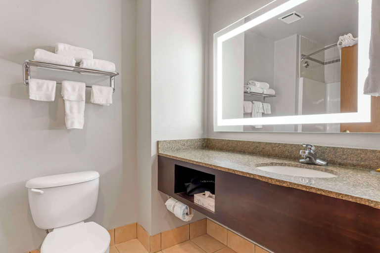 Bathroom 4, Best Western Plus Lake Worth Inn & Suites, Tarrant