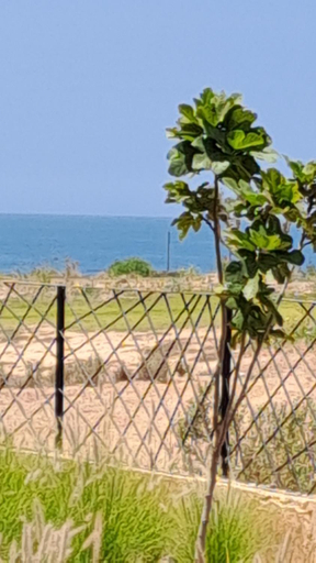 Others 4, Honeymooners Resorts, Agadir-Ida ou Tanane