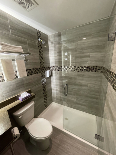 Bathroom 3, Hotel 369 Brooklyn, New York