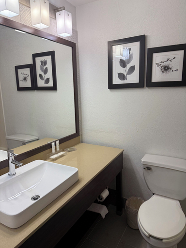 Bathroom 5, Country Inn & Suites by Radisson, Elgin, IL, Kane