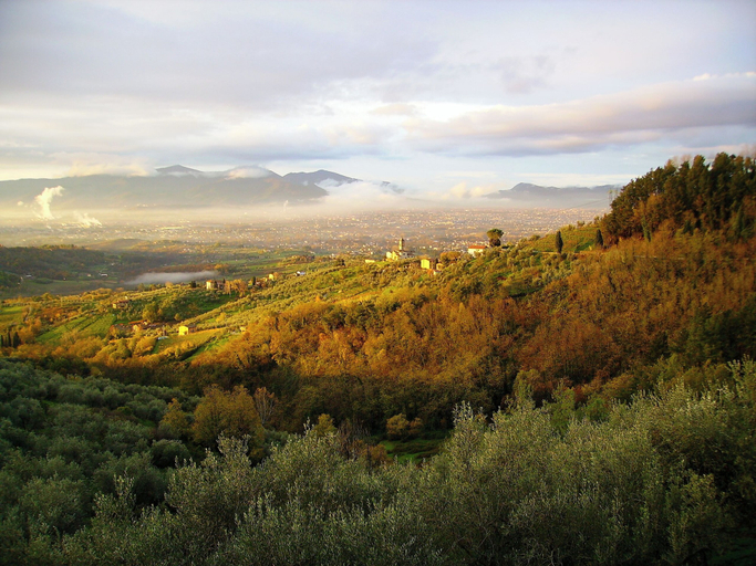 Fattoria Gambaro di Petrognano, Lucca
