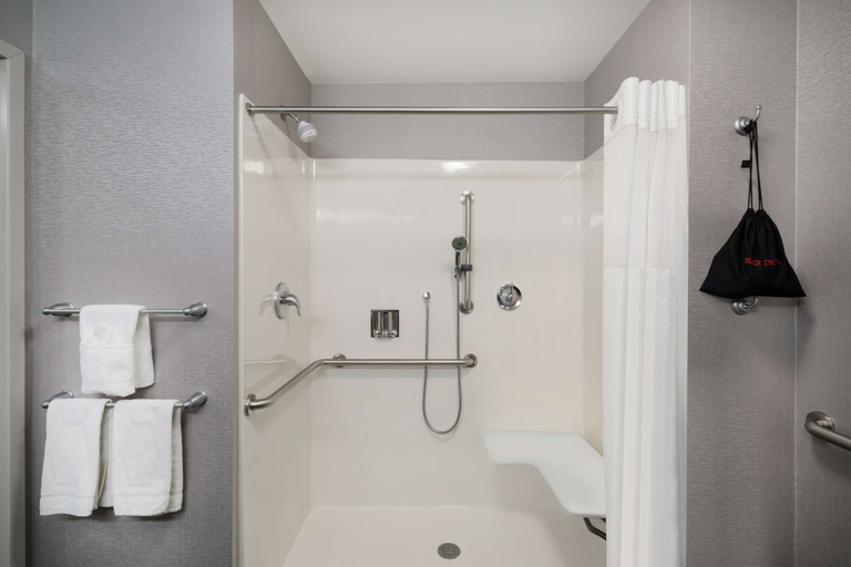 Bathroom 4, Hampton Inn & Suites Roanoke Airport, Roanoke City