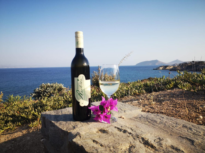Food & Drinks 5, Villa Antinaxos, South Aegean
