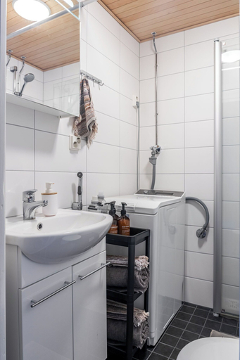 Bathroom 4, Bright & Cozy, Renovated Studio in the Center, Päijänne Tavastia