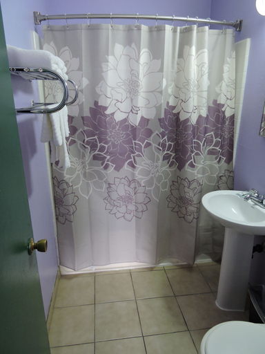 Bathroom 3, Walden Motel, Clark
