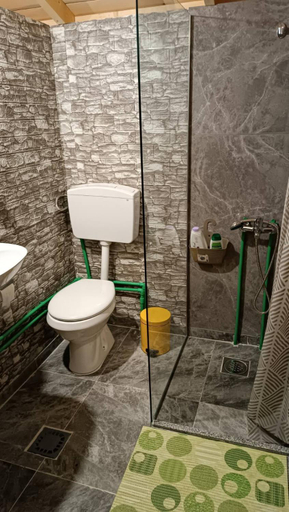 Bathroom 3, Bujtina Selimaj
