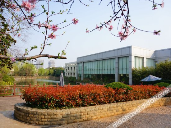 Others 5, Shuixiu Garden Hotel, Nanjing