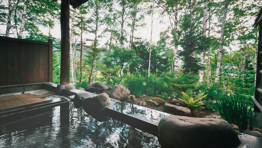 Hot spring bath