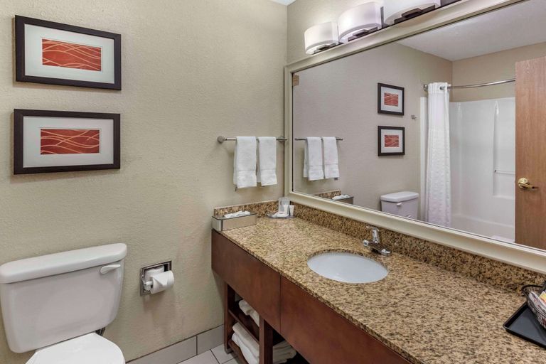 Bathroom 4, Comfort Inn Denver West Arvada Station, Jefferson