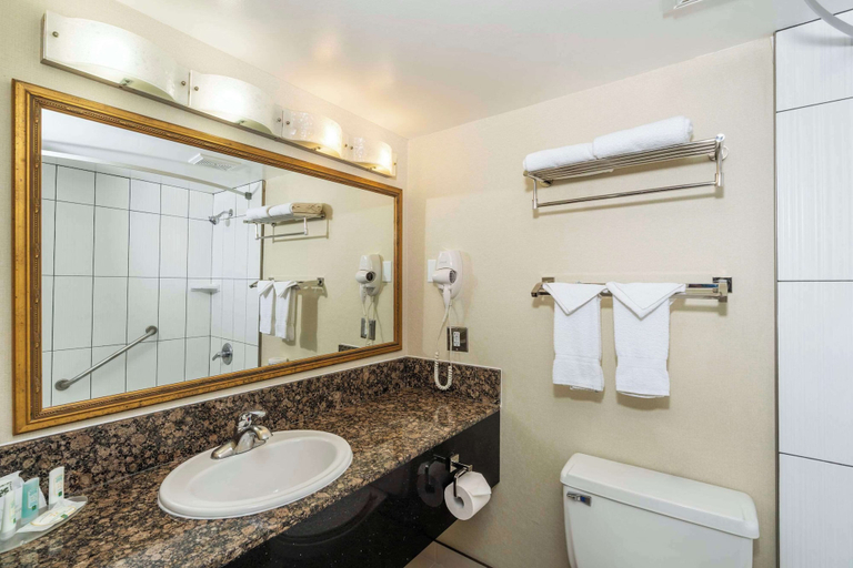 Bathroom 4, Quality Inn Downtown Inner Harbour, Capital